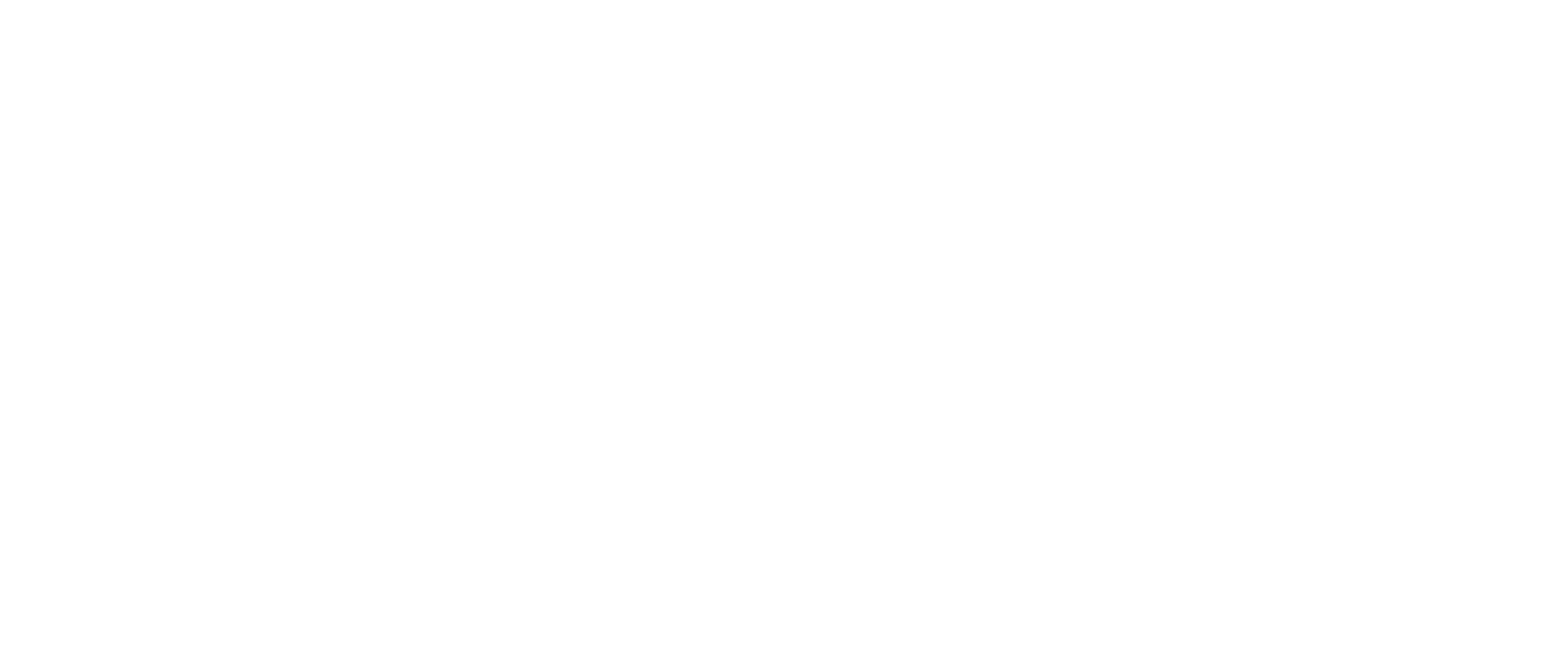 Tam's Shoemaker